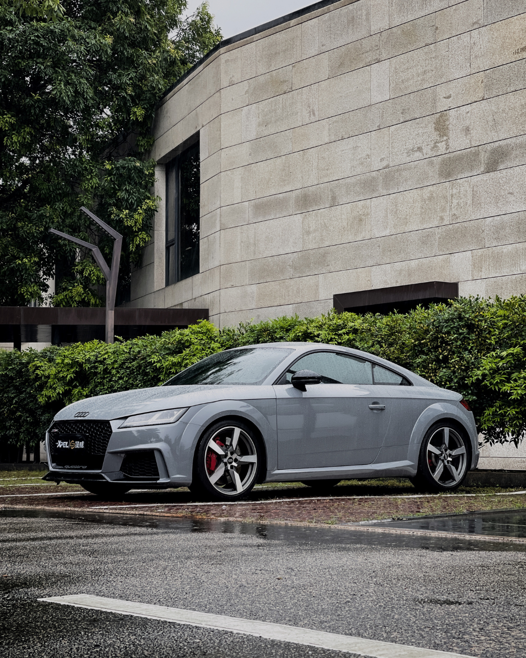 Vinilo CG27-HD TRUE NARDO GREY | – TeckWrap - Image 2